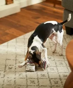 Frisco Ballot Box Hide-and-Seek Puzzle Dog Toy Refill, 3 count -The Frisco Store 233571 PT3. SY630 V1600973757