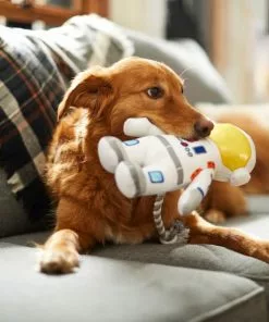 Frisco Ballistic Nylon Plush with Rope Squeaky Astronaut Dog Toy -The Frisco Store 233585 PT3. SY630 V1600973761