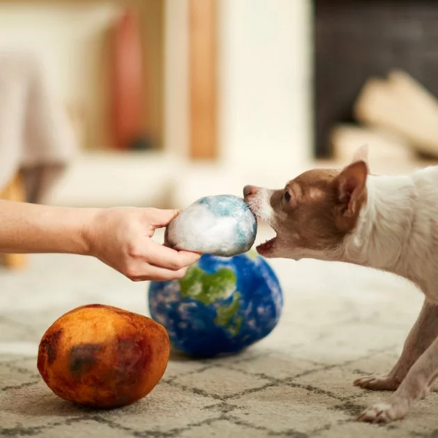 Frisco Earth, Mars, & Moon Plush Squeaky Dog Toy, 3 count 5 Frisco Earth, Mars, & Moon Plush Squeaky Dog Toy, 3 count - Image 3