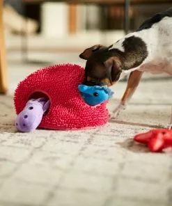 Frisco Hide & Seek Plush Coral Puzzle Dog Toy 9 Frisco Hide & Seek Plush Coral Puzzle Dog Toy -The Frisco Store 233595 PT3. SY630 V1600973820
