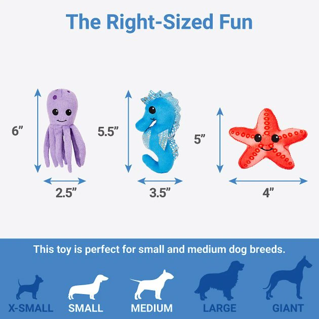 Frisco Hide & Seek Plush Coral Puzzle Dog Toy Refill, 3 count 4 Frisco Hide & Seek Plush Coral Puzzle Dog Toy Refill, 3 count - Image 2