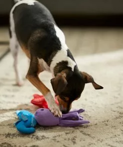 Frisco Hide & Seek Plush Coral Puzzle Dog Toy Refill, 3 count 7 Frisco Hide & Seek Plush Coral Puzzle Dog Toy Refill, 3 count -The Frisco Store 233597 PT3. SY630 V1600973853