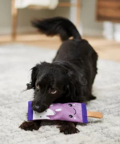 Frisco Popsicle Firehose Squeaky Dog Toy 7 Frisco Popsicle Firehose Squeaky Dog Toy -The Frisco Store 233607 PT3. SY630 V1600974055