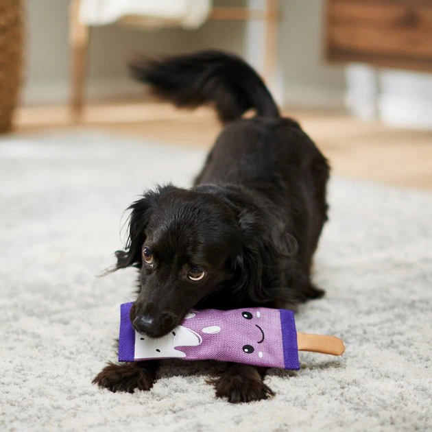 Frisco Popsicle Firehose Squeaky Dog Toy 5 Frisco Popsicle Firehose Squeaky Dog Toy - Image 3