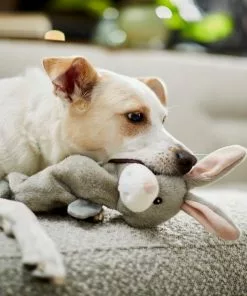 Frisco Bungee Plush Squeaky Bunny Dog Toy -The Frisco Store 233612 PT3. SY630 V1600974360