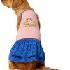 Frisco Bee Mine Dog & Cat Dress -The Frisco Store 238176 MAIN. SY630 V1607452325