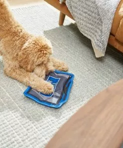 Frisco Zoomies & Chill TV Flat Plush Squeaky Dog Toy -The Frisco Store 241685 PT6. SY630 V1610768399