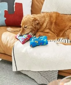 Frisco Zoomies & Chill Candy Plush Squeaky Dog Toy, 2 count 7 Frisco Zoomies & Chill Candy Plush Squeaky Dog Toy, 2 count -The Frisco Store 241687 PT6. SY630 V1610768450