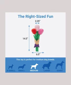 Frisco Rose Bouquet Plush Squeaky Dog Toy -The Frisco Store 241733 PT1. SY630 V1611246968