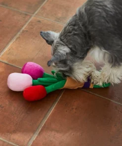 Frisco Rose Bouquet Plush Squeaky Dog Toy -The Frisco Store 241733 PT6. SY630 V1607990908