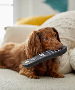 Frisco Zoomies & Chill Remote Latex Squeaky Dog Toy 7 Frisco Zoomies & Chill Remote Latex Squeaky Dog Toy -The Frisco Store 241753 PT6. SY630 V1610768496