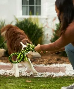 Frisco Dual Handle Neon Rope Squeaky Dog Toy, Yellow & Gray -The Frisco Store 242129 PT2. SY630 V1605208706