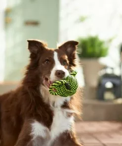 Frisco Dual Handle Neon Ball Squeaky Dog Toy, Yellow & Gray -The Frisco Store 242131 PT2. SY630 V1605208693