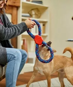Frisco Figure 8 Rope Dog Toy, Blue & Red -The Frisco Store 242135 PT2. SY630 V1605208635