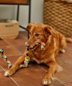 Frisco 4-Knot Tri-Color Rope Dog Toy -The Frisco Store 242139 PT2. SY630 V1605208764