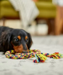 Frisco Pretzel Rope Dog Toy -The Frisco Store 242141 PT2. SY630 V1605208795