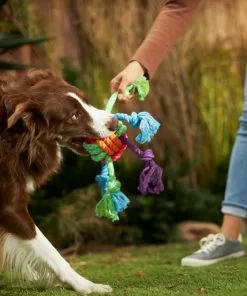 Frisco Colorful Ball Knot Rope Dog Toy -The Frisco Store 242160 PT2. SY630 V1605208734