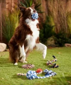 Frisco Rope Multipack for Medium Dog Toys, 5 count -The Frisco Store 243978 PT2. SY630 V1635439307