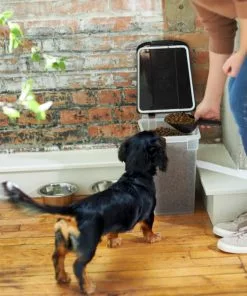 Frisco Airtight Food Storage Container, Clear/Black -The Frisco Store 245804 PT8. SY630 V1608850956