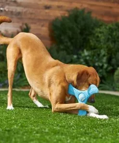 Frisco Plastic Tri-Flyer Dog Toy 7 Frisco Plastic Tri-Flyer Dog Toy -The Frisco Store 245910 PT2. SY630 V1607371960