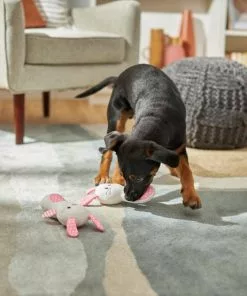 Frisco Bunny Plush Multipack Puppy Toy, 2 count 7 Frisco Bunny Plush Multipack Puppy Toy, 2 count -The Frisco Store 245916 PT2. SY630 V1607371940