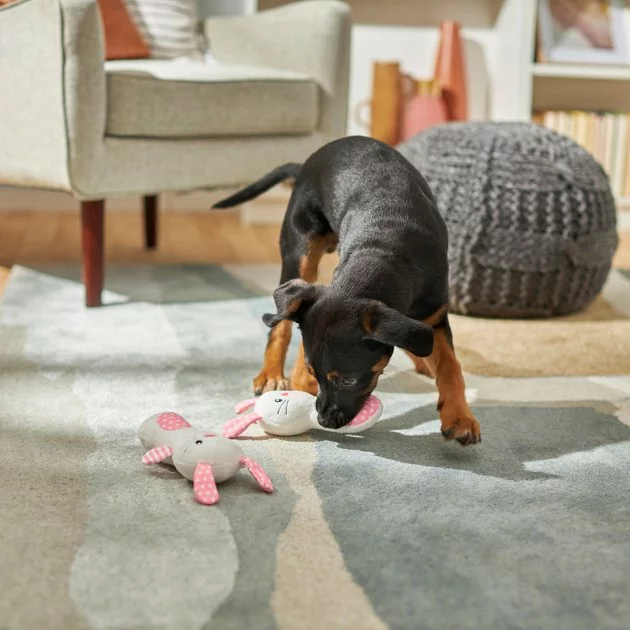 Frisco Bunny Plush Multipack Puppy Toy, 2 count 5 Frisco Bunny Plush Multipack Puppy Toy, 2 count - Image 3