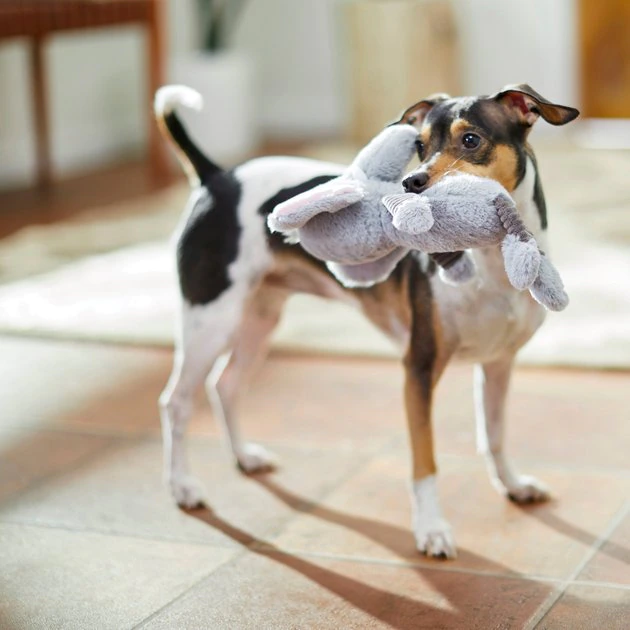 Frisco Elephant Plush Squeaky Dog Toy 5 Frisco Elephant Plush Squeaky Dog Toy - Image 3