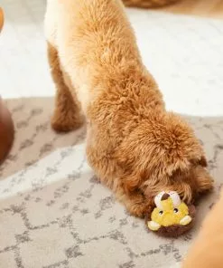 Frisco Lion Plush Squeaky Dog Toy -The Frisco Store 245926 PT2. SY630 V1607372008