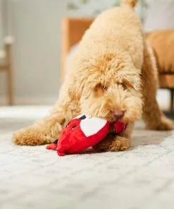 Frisco Fox Disc Plush Squeaky Dog Toy -The Frisco Store 245928 PT2. SY630 V1607371965