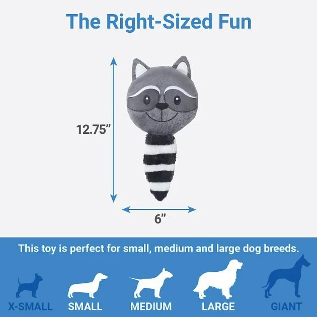 Frisco Raccoon Disc Plush Squeaky Dog Toy 4 Frisco Raccoon Disc Plush Squeaky Dog Toy - Image 2