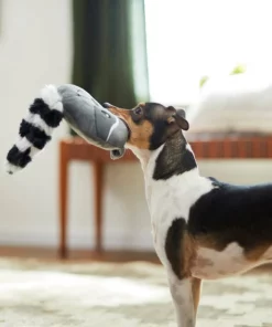 Frisco Raccoon Disc Plush Squeaky Dog Toy 7 Frisco Raccoon Disc Plush Squeaky Dog Toy -The Frisco Store 245930 PT2. SY630 V1607372013