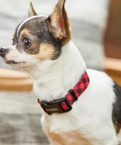 Frisco Buffalo Check Dog Collar -The Frisco Store 246989 PT3. SY630 V1606864045