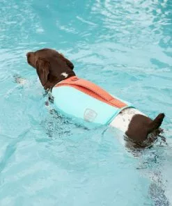 Frisco Active Dog Life Jacket -The Frisco Store 247890 PT8. SY630 V1616505897
