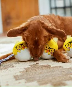 Frisco Easter Hipster Chicks Plush with Rope Dog Toy -The Frisco Store 248031 PT5. SY630 V1608767875