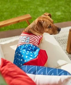 Frisco USA Dog & Cat Dress -The Frisco Store 248659 PT4. SY630 V1632418898