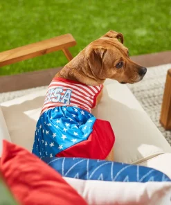 Frisco USA Dog & Cat Dress -The Frisco Store 248659 PT7. SY630 V1614029540