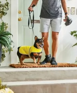 Frisco Reflective Dog Safety Vest -The Frisco Store 248680 PT7. SY630 V1614029598