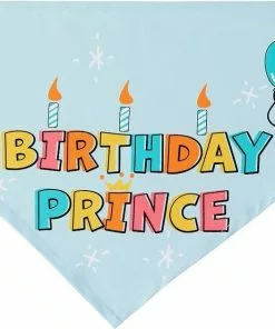 Frisco Birthday Prince Dog & Cat Bandana -The Frisco Store 248694 PT2. SY630 V1633071096