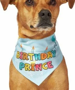 Frisco Birthday Prince Dog & Cat Bandana -The Frisco Store 248694 PT3. SY630 V1633065977