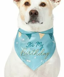 Frisco It's My Birthday Dog & Cat Bandana, Blue -The Frisco Store 248696 PT2. SY630 V1633069886