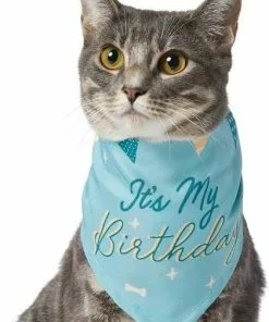Frisco It's My Birthday Dog & Cat Bandana, Blue -The Frisco Store 248696 PT3. SY630 V1633061530