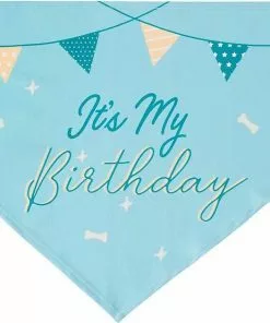 Frisco It's My Birthday Dog & Cat Bandana, Blue -The Frisco Store 248696 PT4. SY630 V1633057291