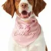 Frisco It's My Birthday Dog & Cat Bandana, Pink -The Frisco Store 248702 MAIN. SY630 V1614611594
