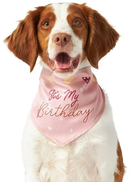 Frisco It's My Birthday Dog & Cat Bandana, Pink 3 Frisco It's My Birthday Dog & Cat Bandana, Pink