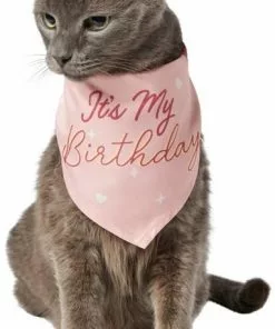 Frisco It's My Birthday Dog & Cat Bandana, Pink 9 Frisco It's My Birthday Dog & Cat Bandana, Pink -The Frisco Store 248702 PT2. SY630 V1614611844