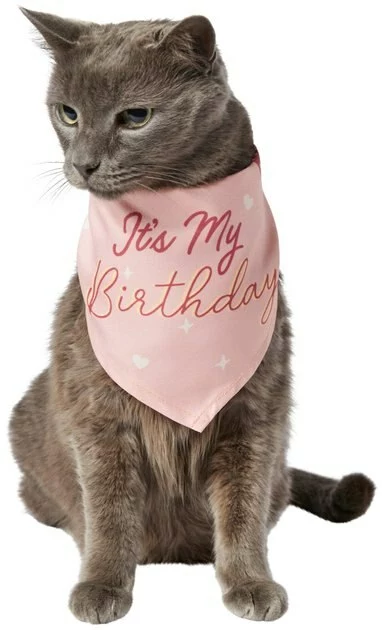 Frisco It's My Birthday Dog & Cat Bandana, Pink 5 Frisco It's My Birthday Dog & Cat Bandana, Pink - Image 3