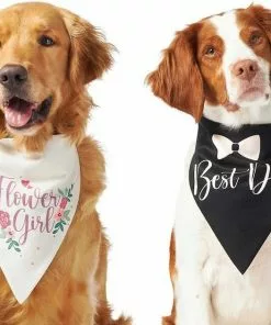 Frisco Wedding Reversible Dog & Cat Bandana -The Frisco Store 248712 PT2. SY630 V1632429387