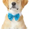 Frisco Polka Dot Dog & Cat Bow Tie, Teal -The Frisco Store 248715 MAIN. SY630 V1613766396