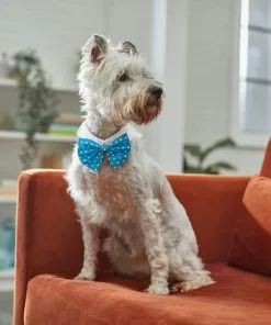 Frisco Polka Dot Dog & Cat Bow Tie, Teal -The Frisco Store 248715 PT7. SY630 V1614031654