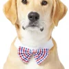 Frisco Plaid Dog & Cat Bow Tie, Red & Blue